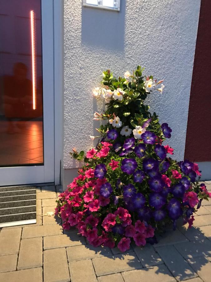 Ferienwohnungen Am Feldrain - Gornau Im Erzgebirge Zschopau Extérieur photo