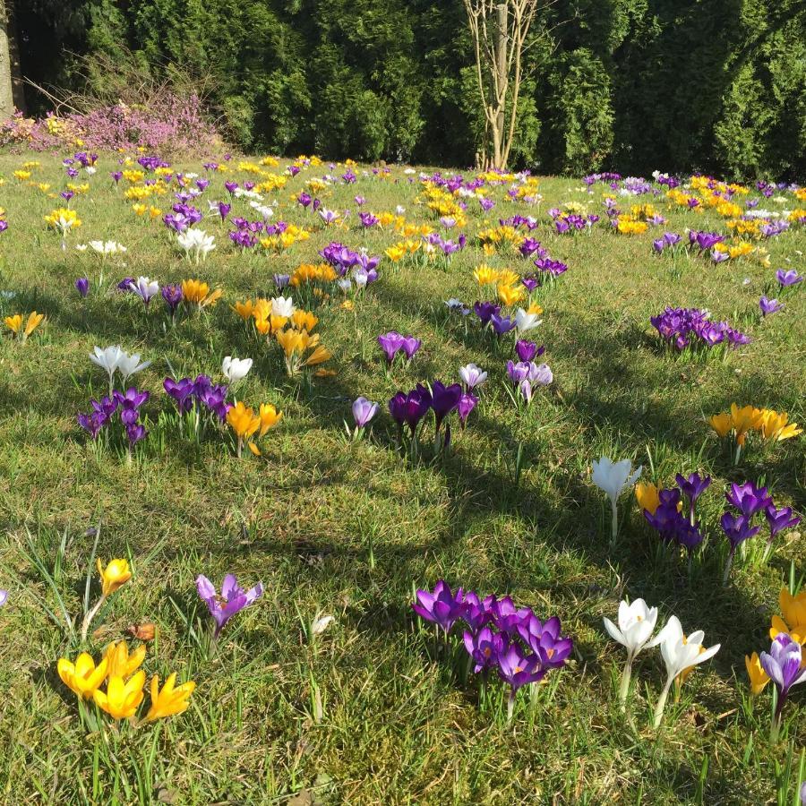 Ferienwohnungen Am Feldrain - Gornau Im Erzgebirge Zschopau Extérieur photo